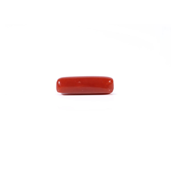 Red Coral - Moonga - 3.65 Carat - Pramogh