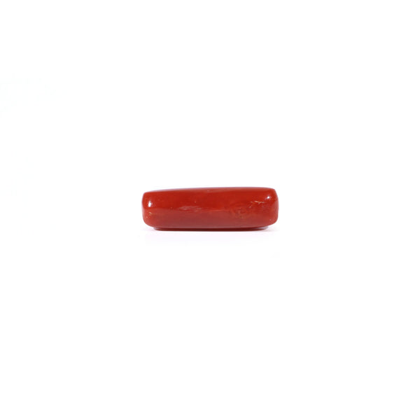 Red Coral - 3.65 Carat