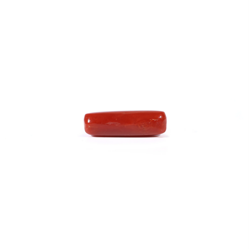 Red Coral - 3.65 Carat