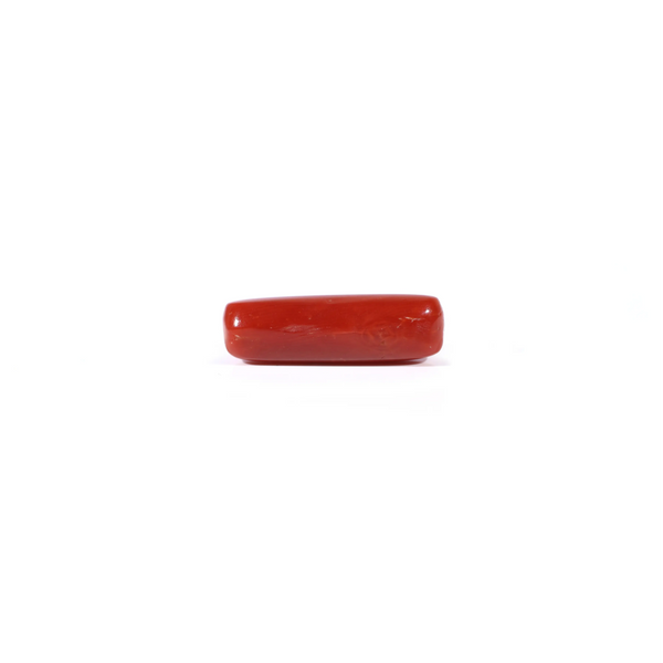 Red Coral - 3.65 Carat