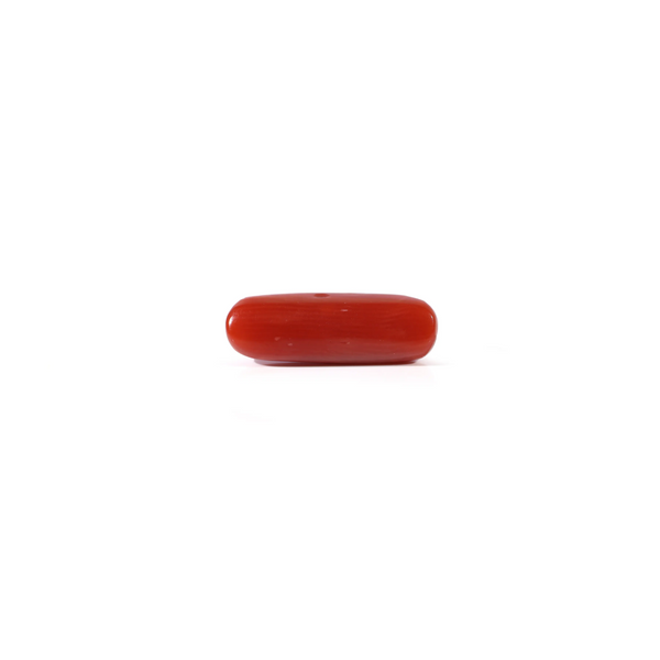 Red Coral - 3.6 Carat