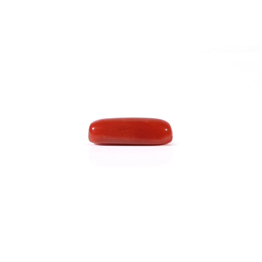 Red Coral - 3.6 Carat