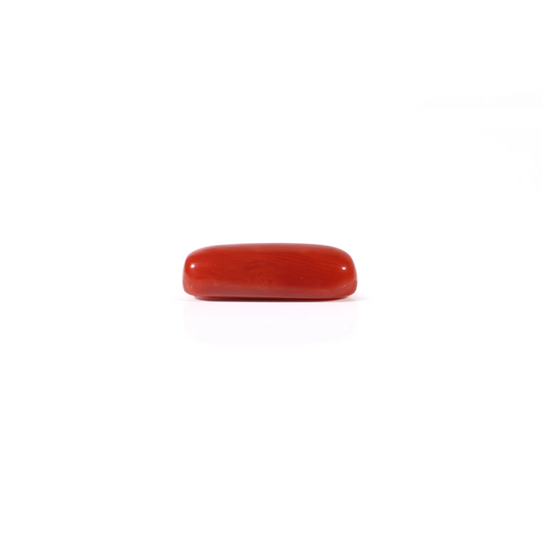Red Coral - 3.6 Carat