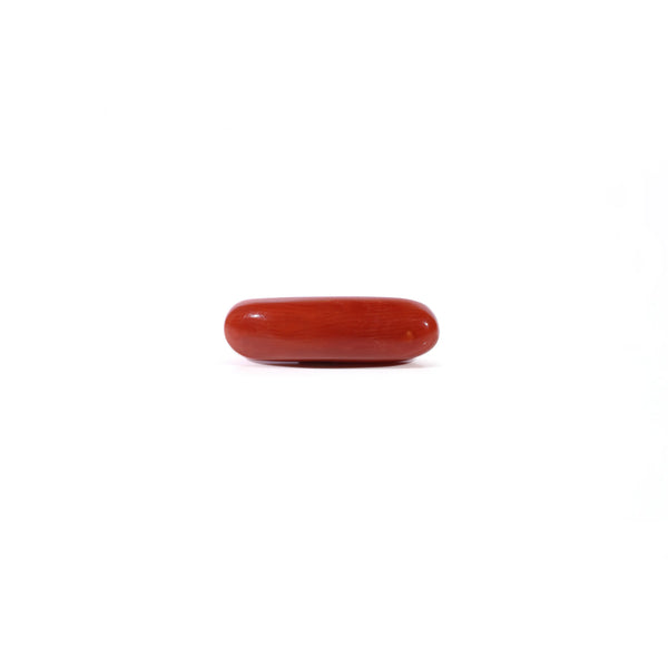 Red Coral - Moonga - 3.6 Carat - Pramogh