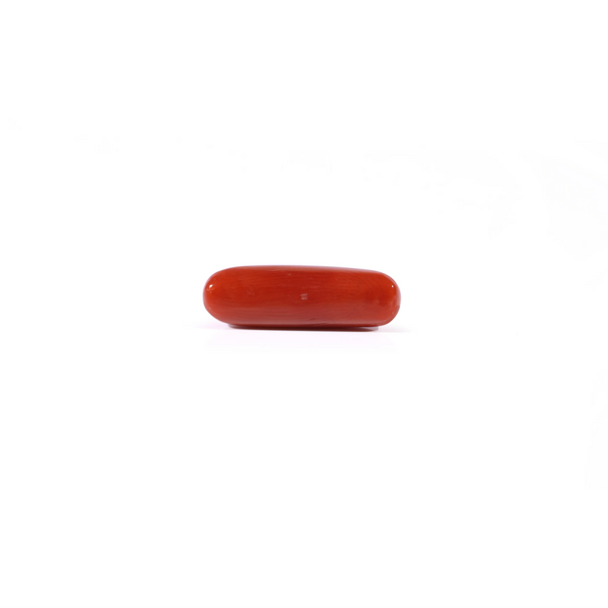 Red Coral - 3.6 Carat
