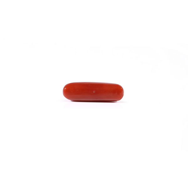 Red Coral - 3.6 Carat