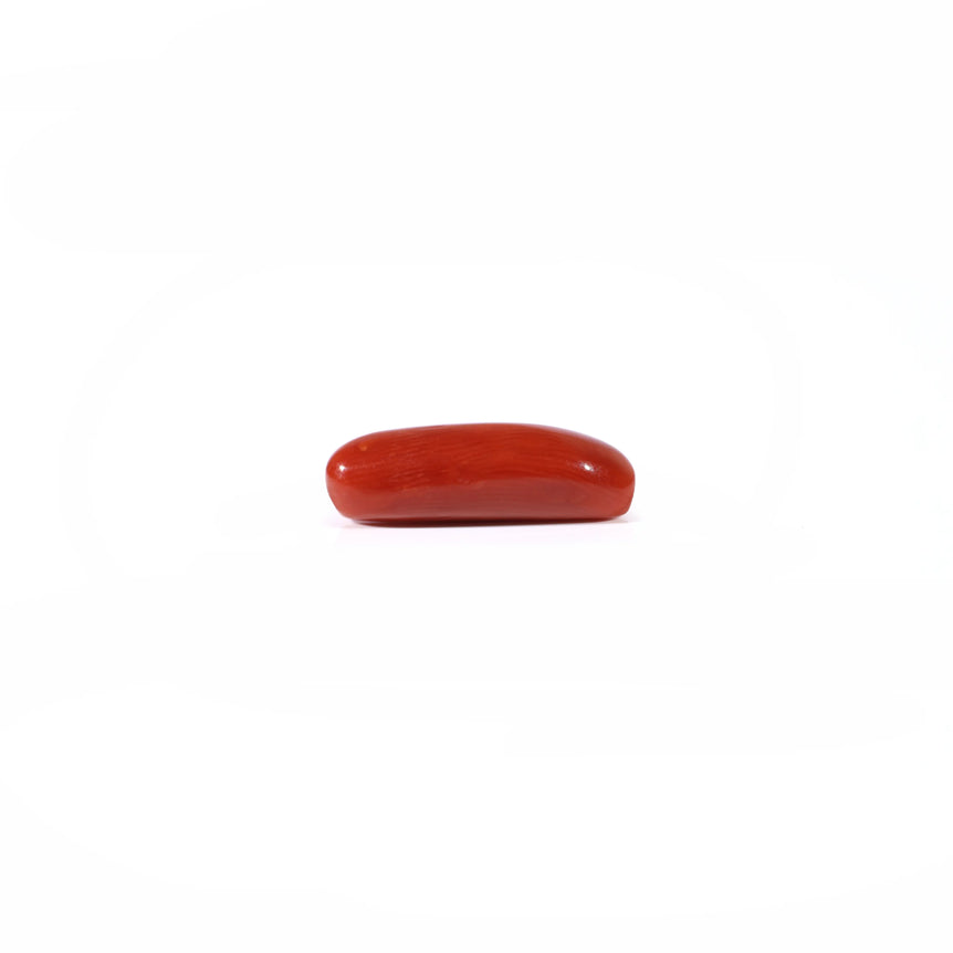 Red Coral - 3.6 Carat