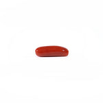 Red Coral - 3.6 Carat