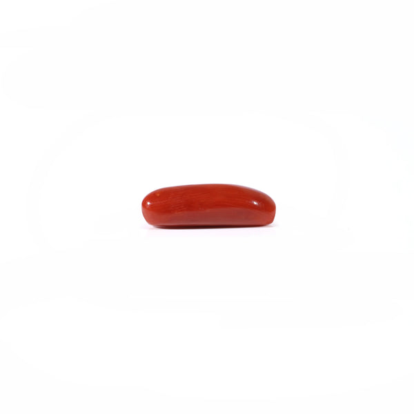 Red Coral - 3.6 Carat