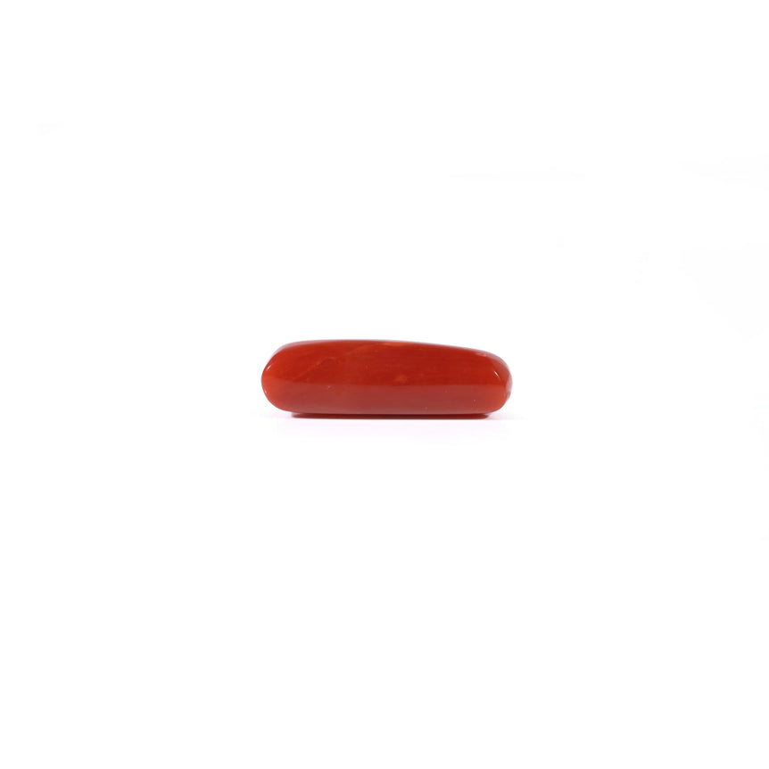 Red Coral - 3.9 Carat