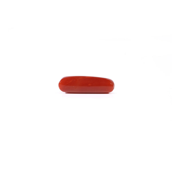 Red Coral - 3.9 Carat