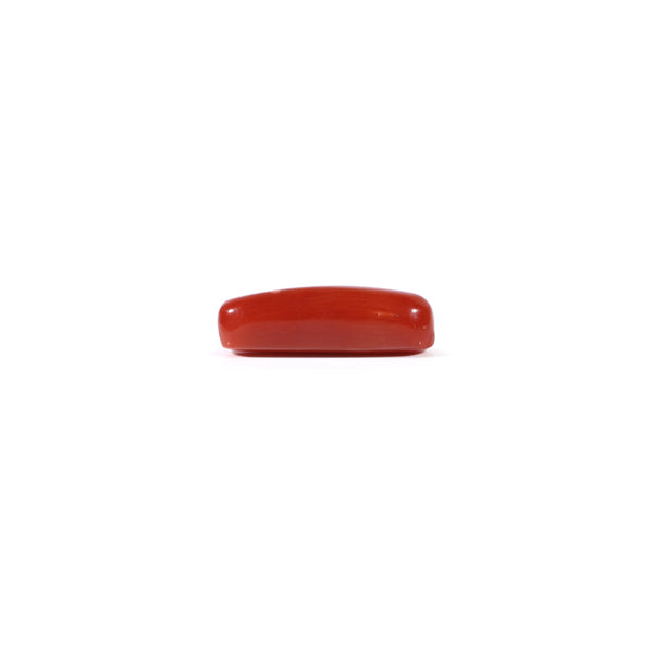 Red Coral - 3.9 Carat