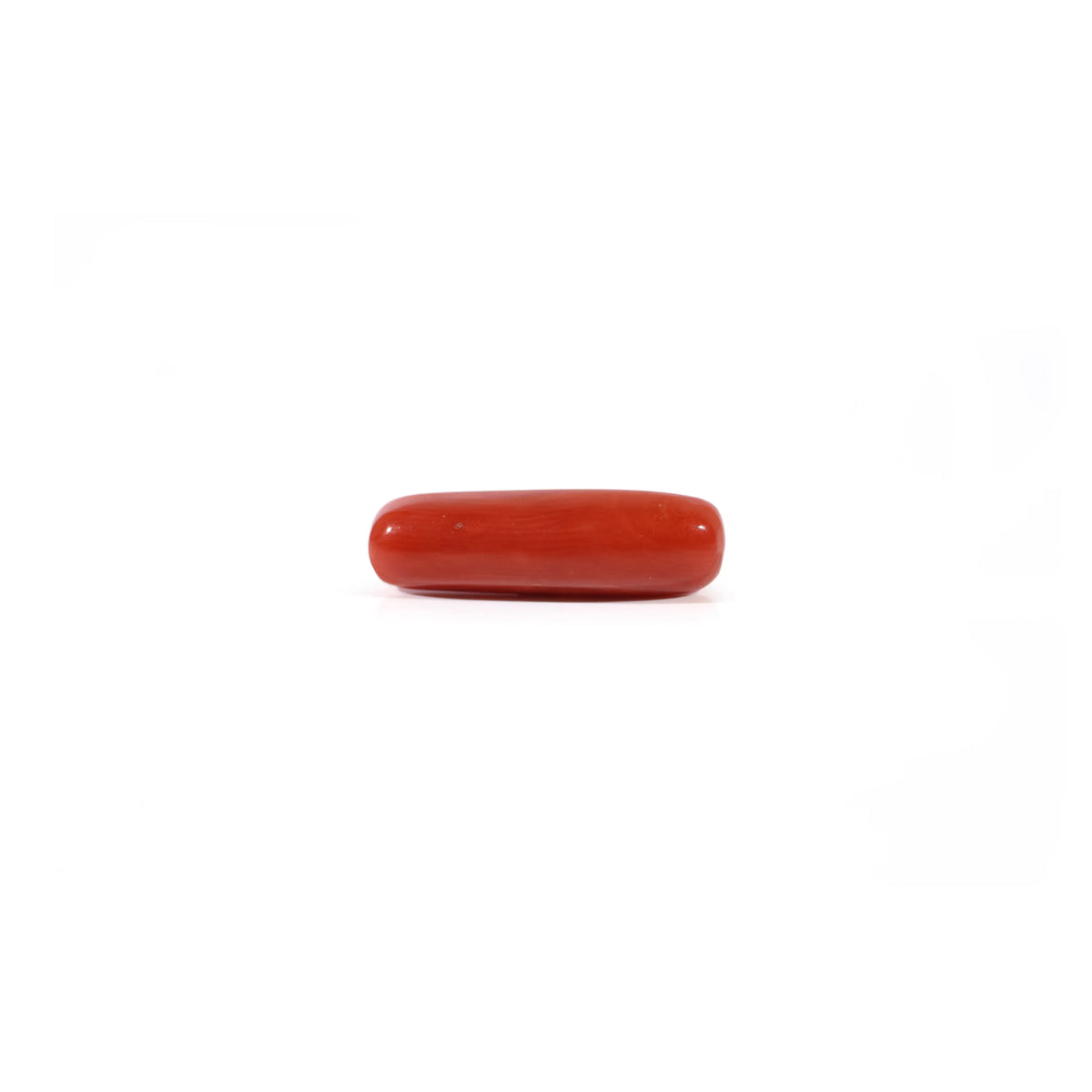 Red Coral - Moonga - 3.4 Carat - Pramogh