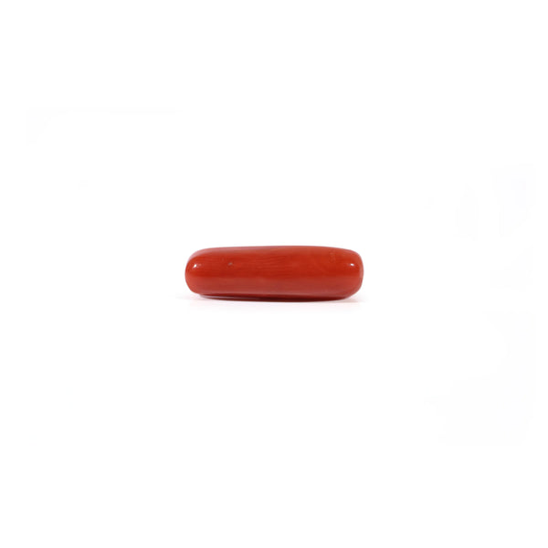 Red Coral - Moonga - 3.4 Carat - Pramogh