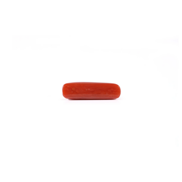 Red Coral - 3.4 Carat