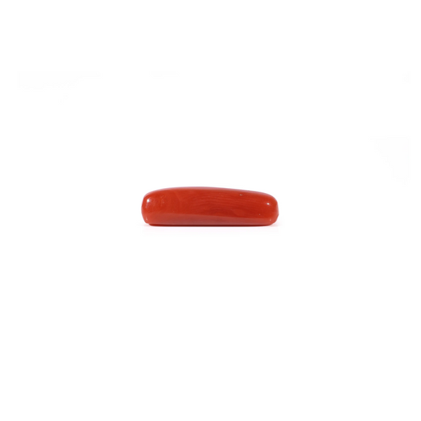 Red Coral - 3.4 Carat