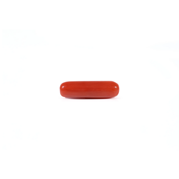 Red Coral - Moonga - 3.8 Carat - Pramogh