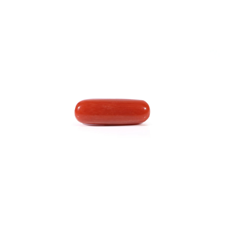 Red Coral - Moonga - 3.65 Carat - Pramogh