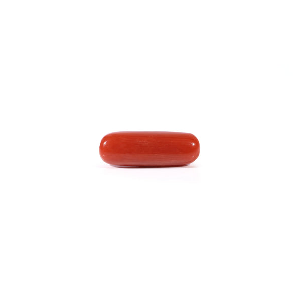 Red Coral - Moonga - 3.65 Carat - Pramogh