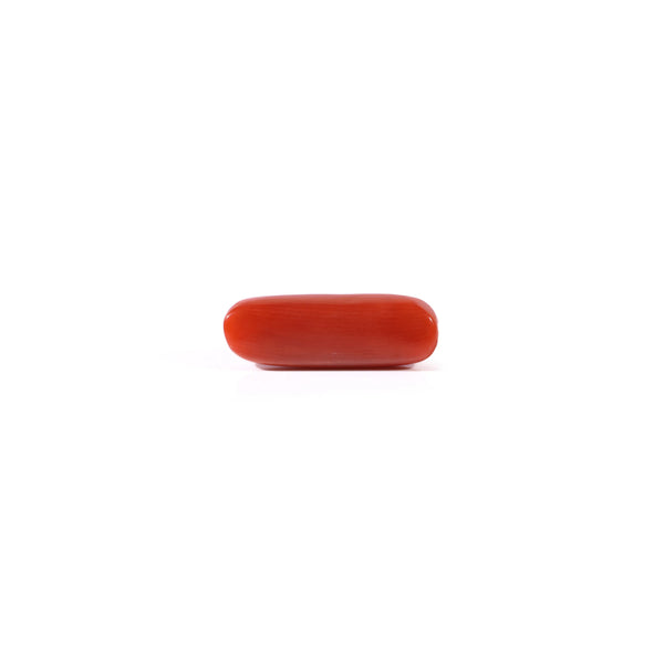 Red Coral - 3.65 Carat