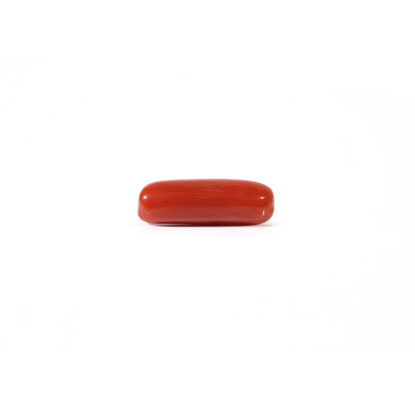 Red Coral - 3.65 Carat