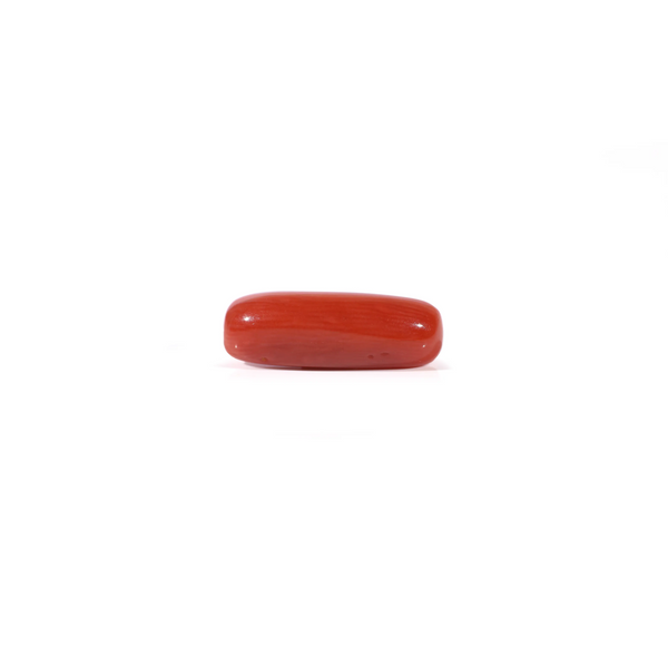 Red Coral - Moonga - 3.63 Carat - Pramogh