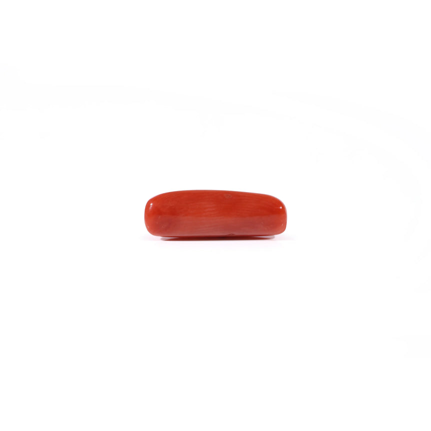 Red Coral - 3.63 Carat