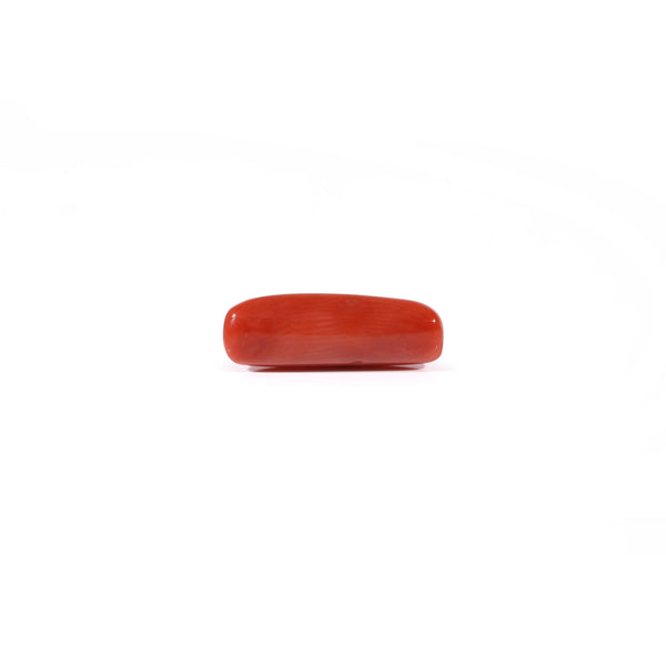 Red Coral - 3.63 Carat