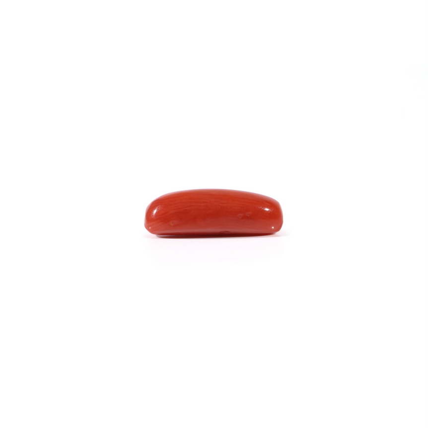 Red Coral - 3.63 Carat