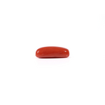 Red Coral - 3.63 Carat