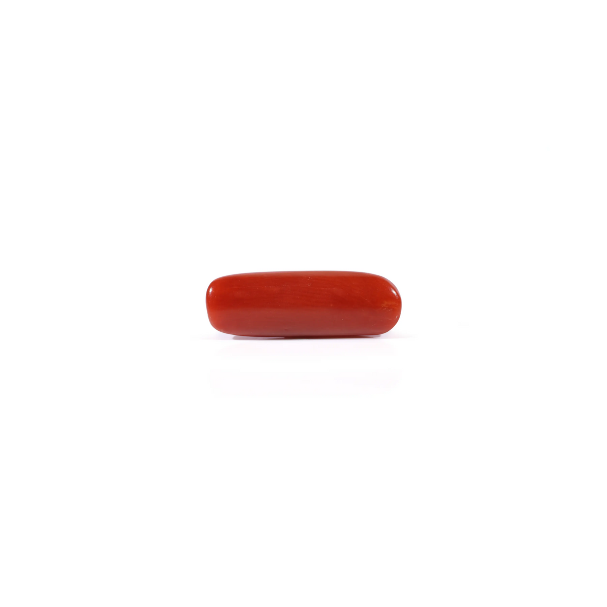Red Coral - 3.6 Carat