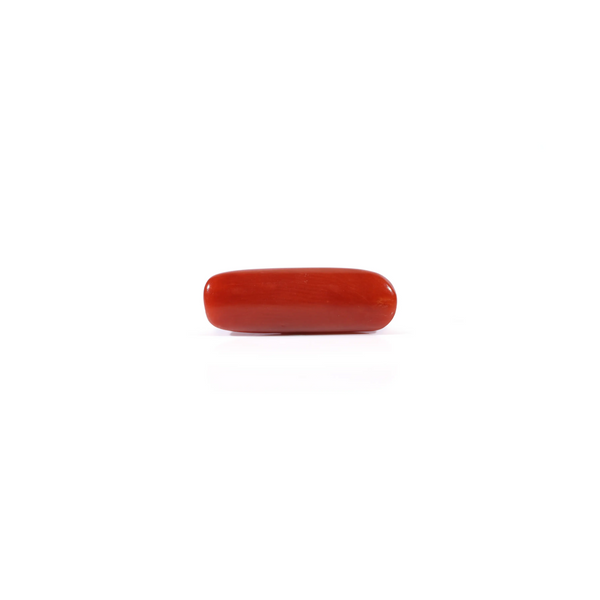 Red Coral - 3.6 Carat