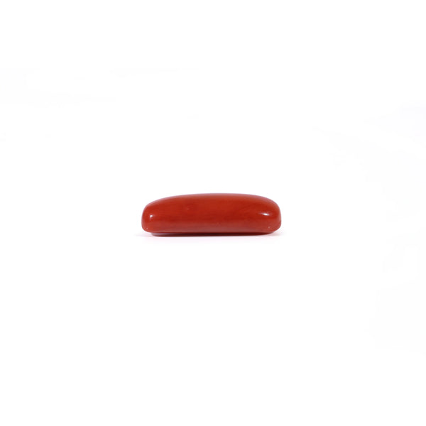 Red Coral - 3.6 Carat