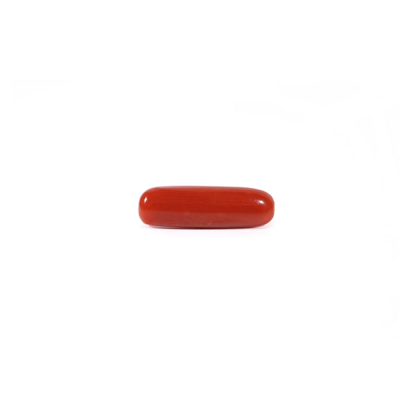 Red Coral - Moonga - 3.65 Carat - Pramogh