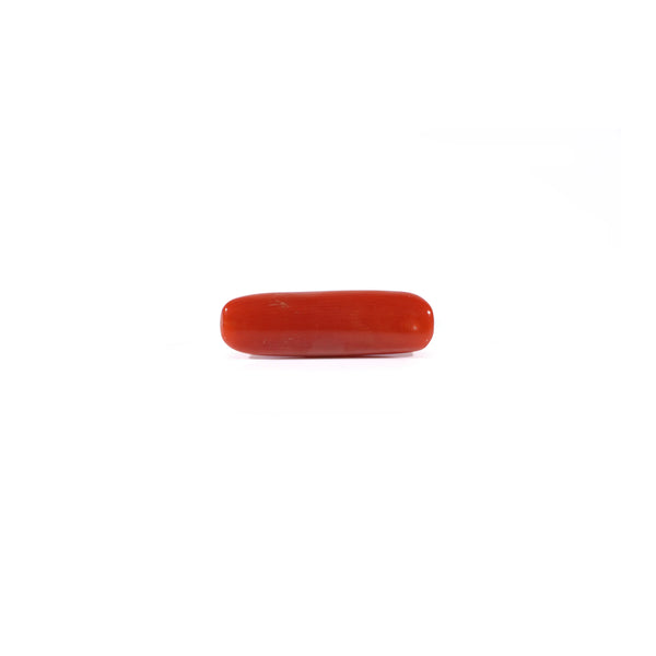 Red Coral - 3.65 Carat