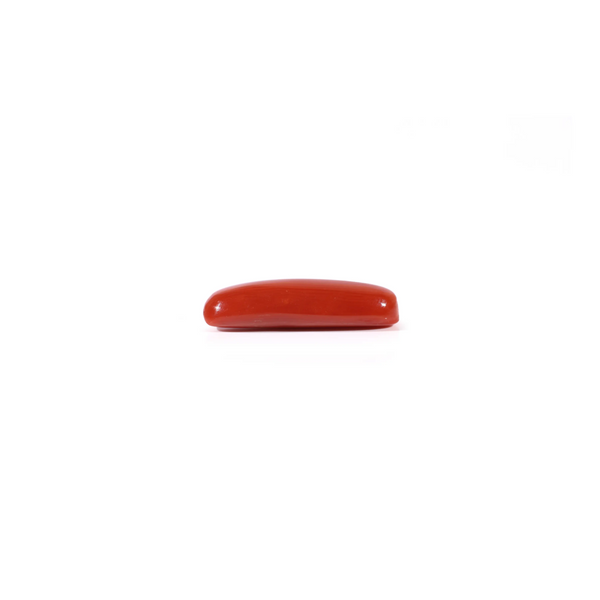 Red Coral - 3.65 Carat