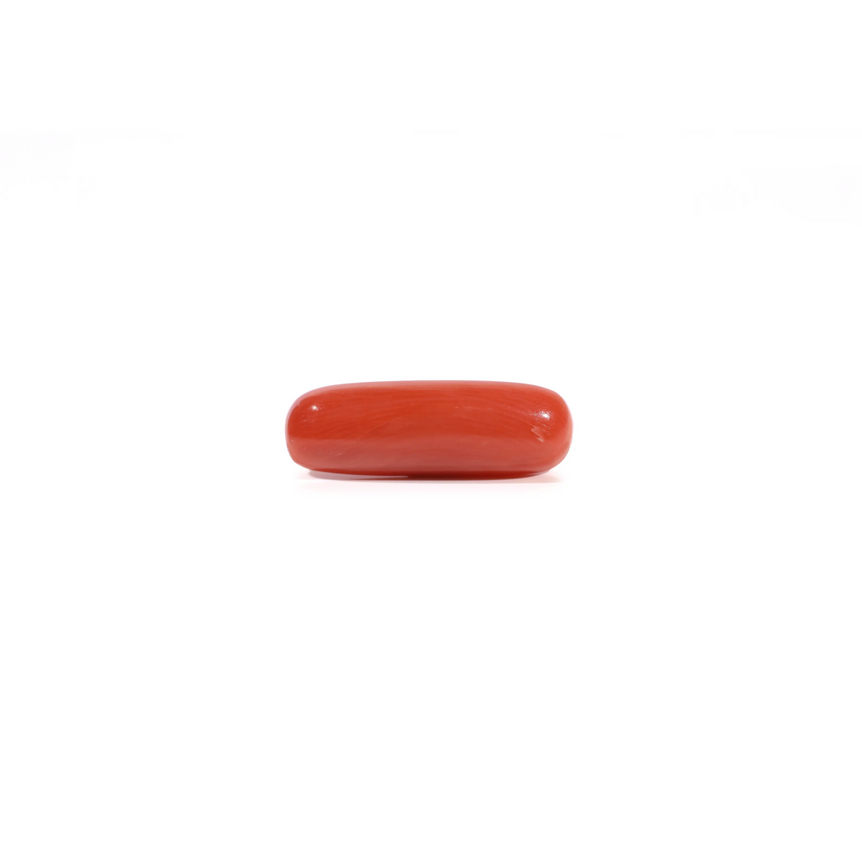 Red Coral - Moonga - 3.6 Carat - Pramogh
