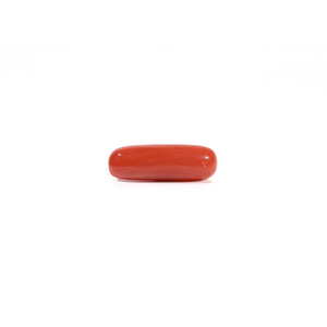 Red Coral - Moonga - 3.6 Carat - Pramogh