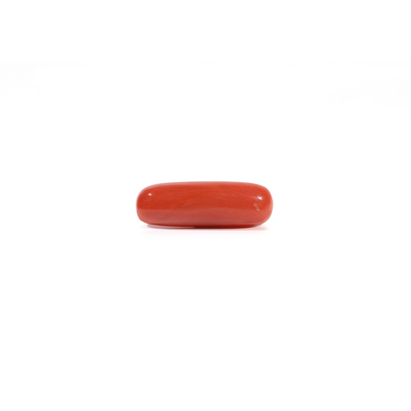 Red Coral - Moonga - 3.6 Carat - Pramogh