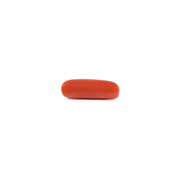 Red Coral - 3.6 Carat
