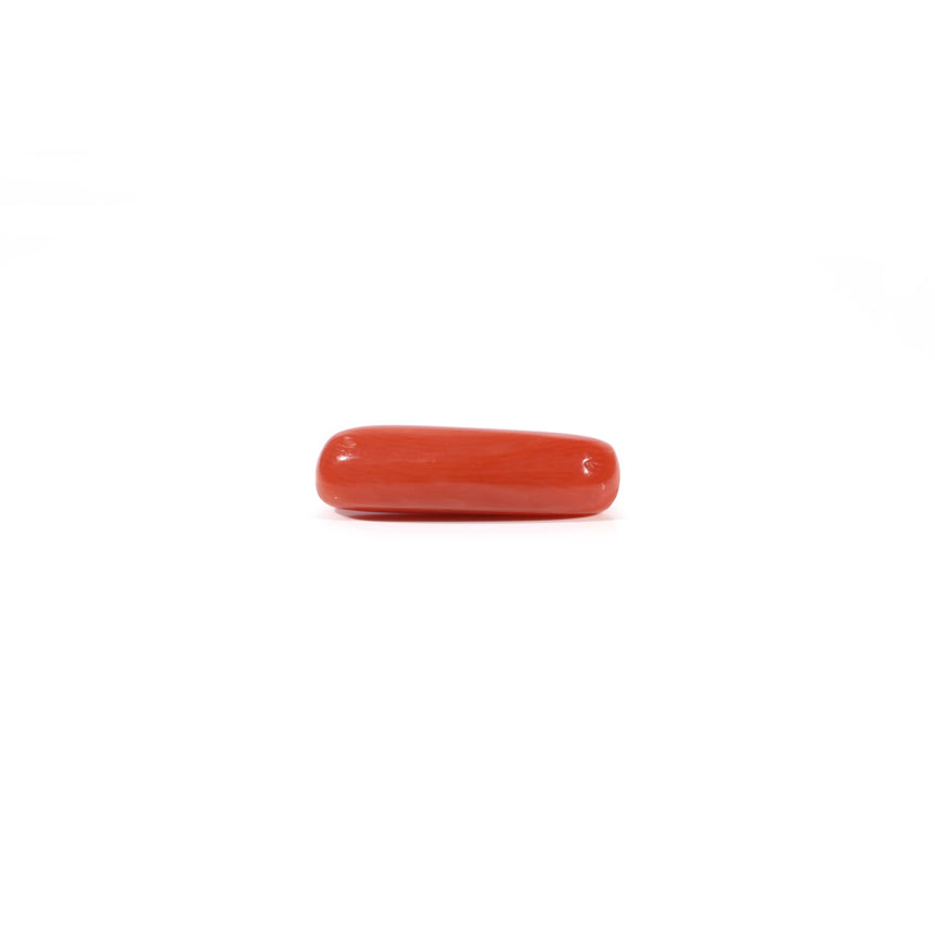 Red Coral - 3.6 Carat
