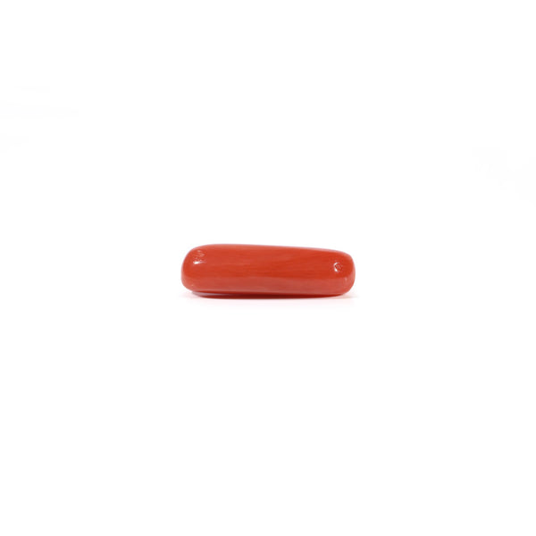 Red Coral - 3.6 Carat