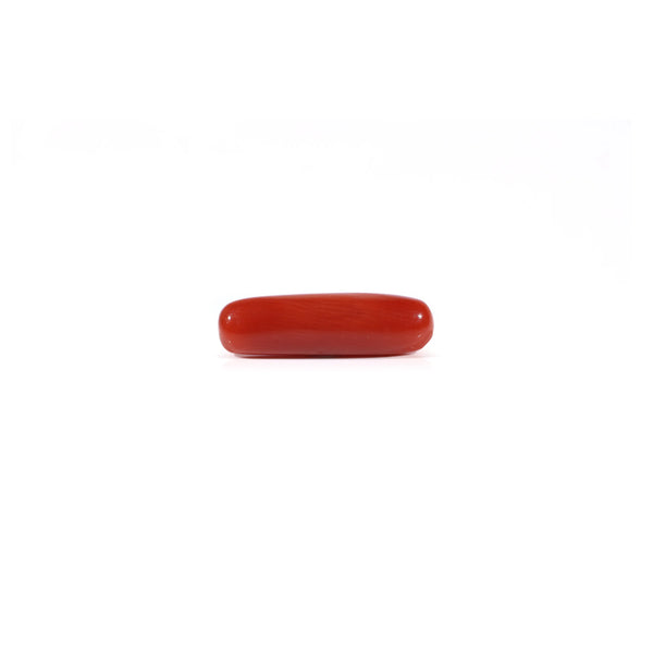 Red Coral - Moonga - 3.8 Carat - Pramogh