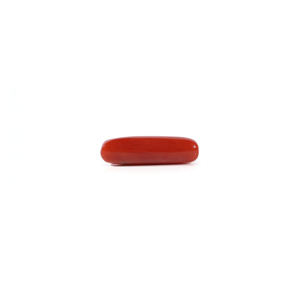 Red Coral - 3.8 Carat
