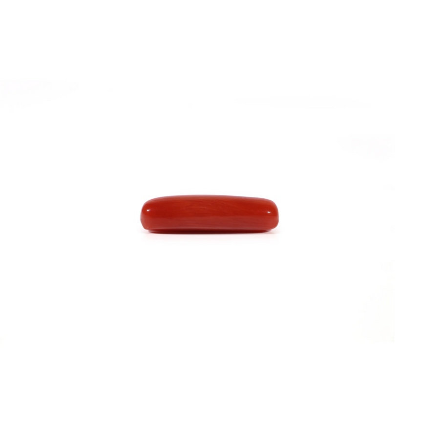 Red Coral - 3.8 Carat