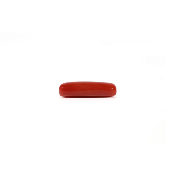 Red Coral - 3.8 Carat