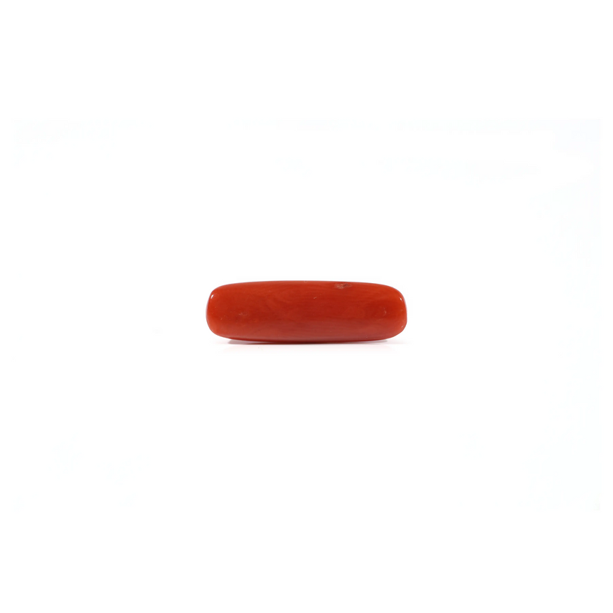 Red Coral - 2.8 Carat