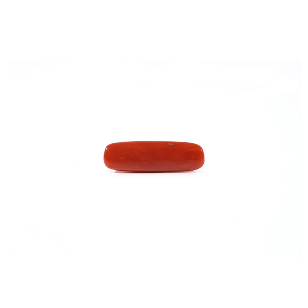 Red Coral - 2.8 Carat