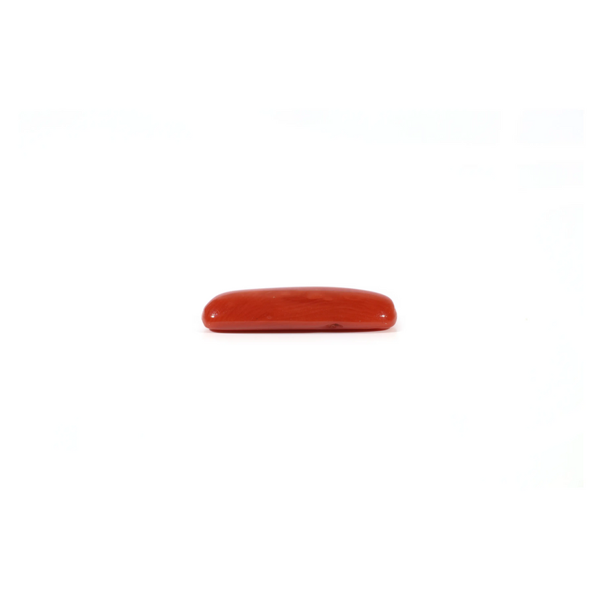 Red Coral - 2.8 Carat