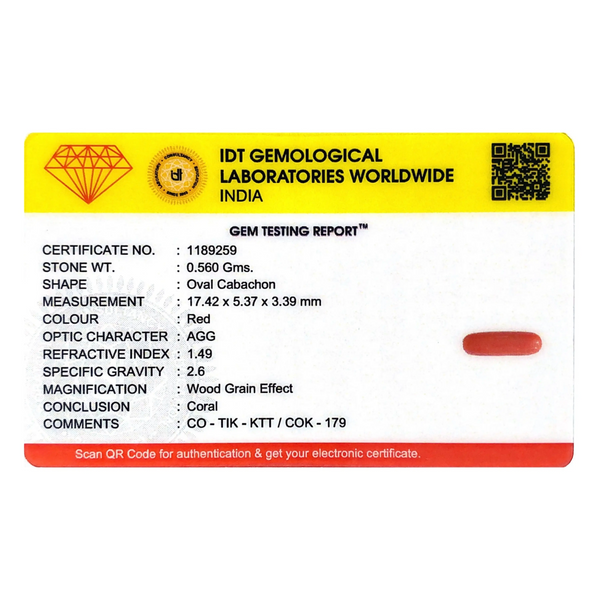 Red Coral - 2.8 Carat